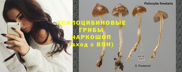 крисы Тында