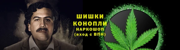 прущие крисы Верея