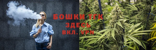 прущие крисы Верея